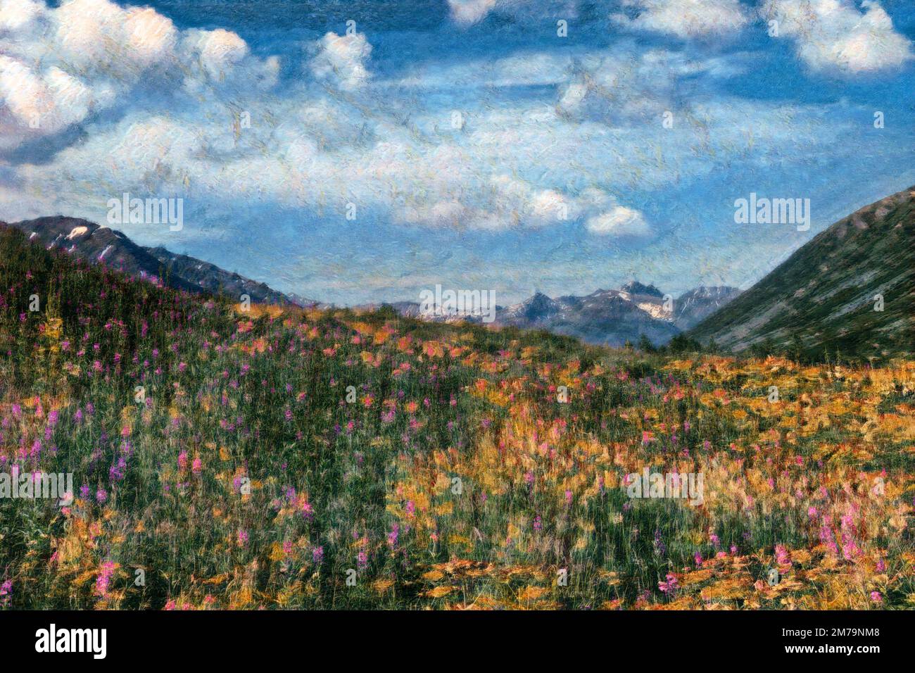Digital watercolor painting effect on photo of Alaska fireweed flowers in meadow with snowcapped mountains and blue sky in background Stock Photo