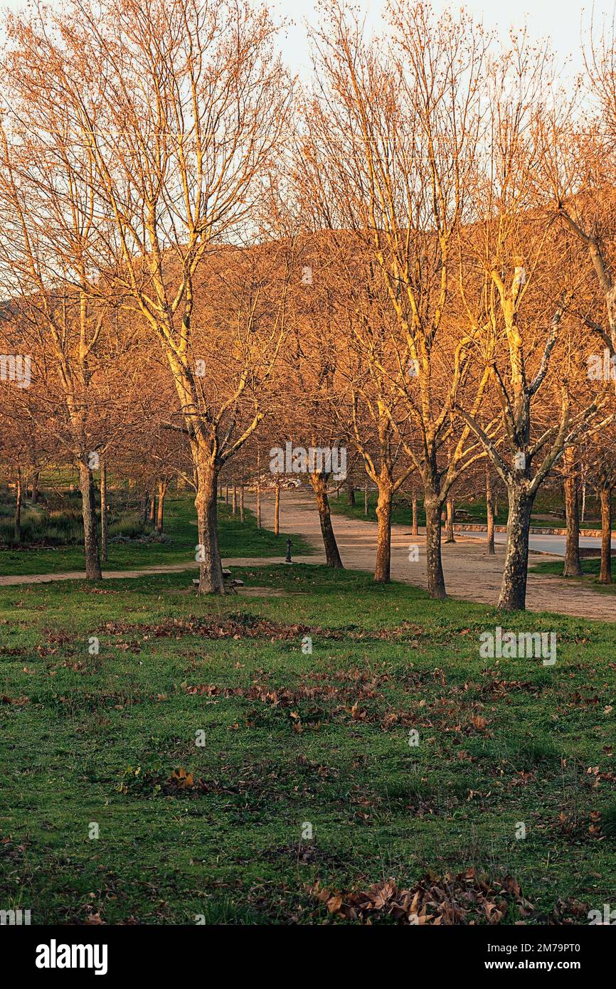 Paths in the park in El Escorial at dawn Stock Photo