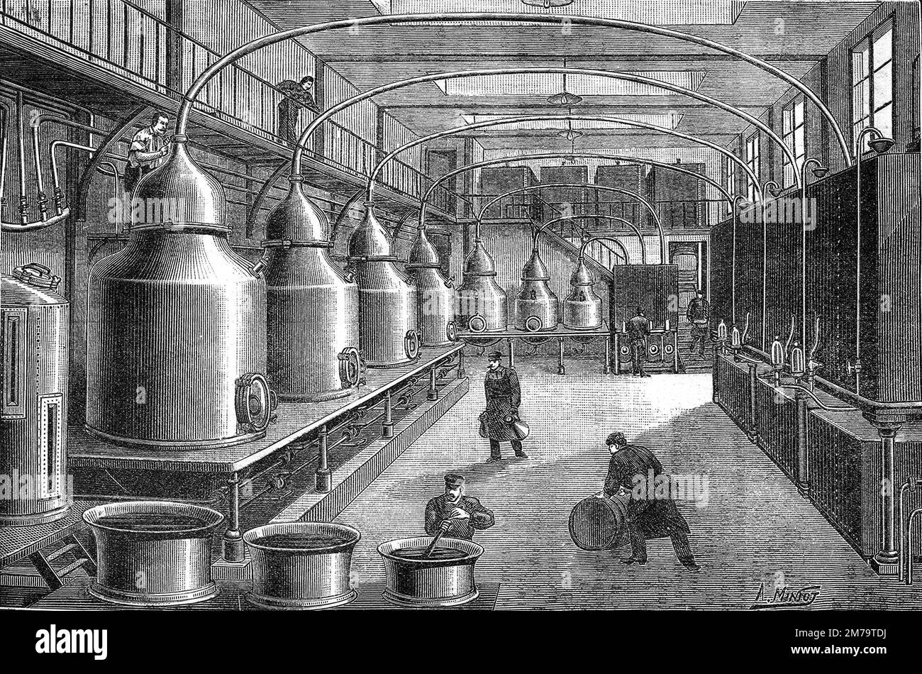 Absinthe distillation, 1904 Absinthe Stock Photo Alamy