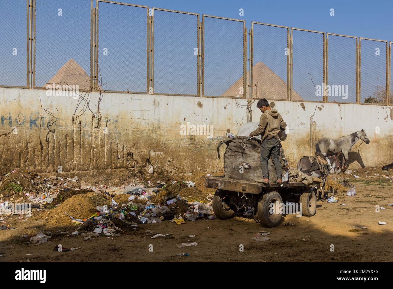 CAIRO, EGYPT - JANUARY 31, 2019: Donkey carriage collecting rubbish in Giza neighborhood of Cairo, Egypt Stock Photo