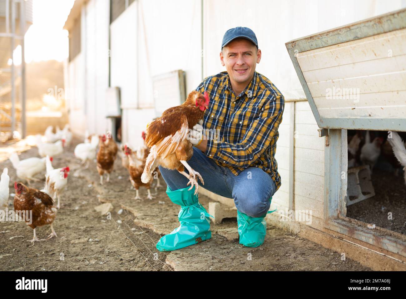 Male positive farmer holding chicken in poultry farm Stock Photo - Alamy
