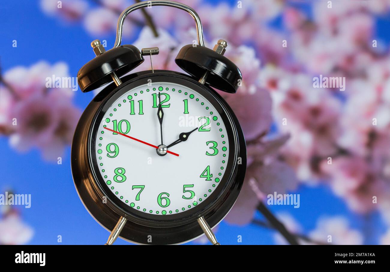 Symbol image of the time changeover to summer time: Close-up of an alarm clock in front of blossoming almond blossoms Stock Photo