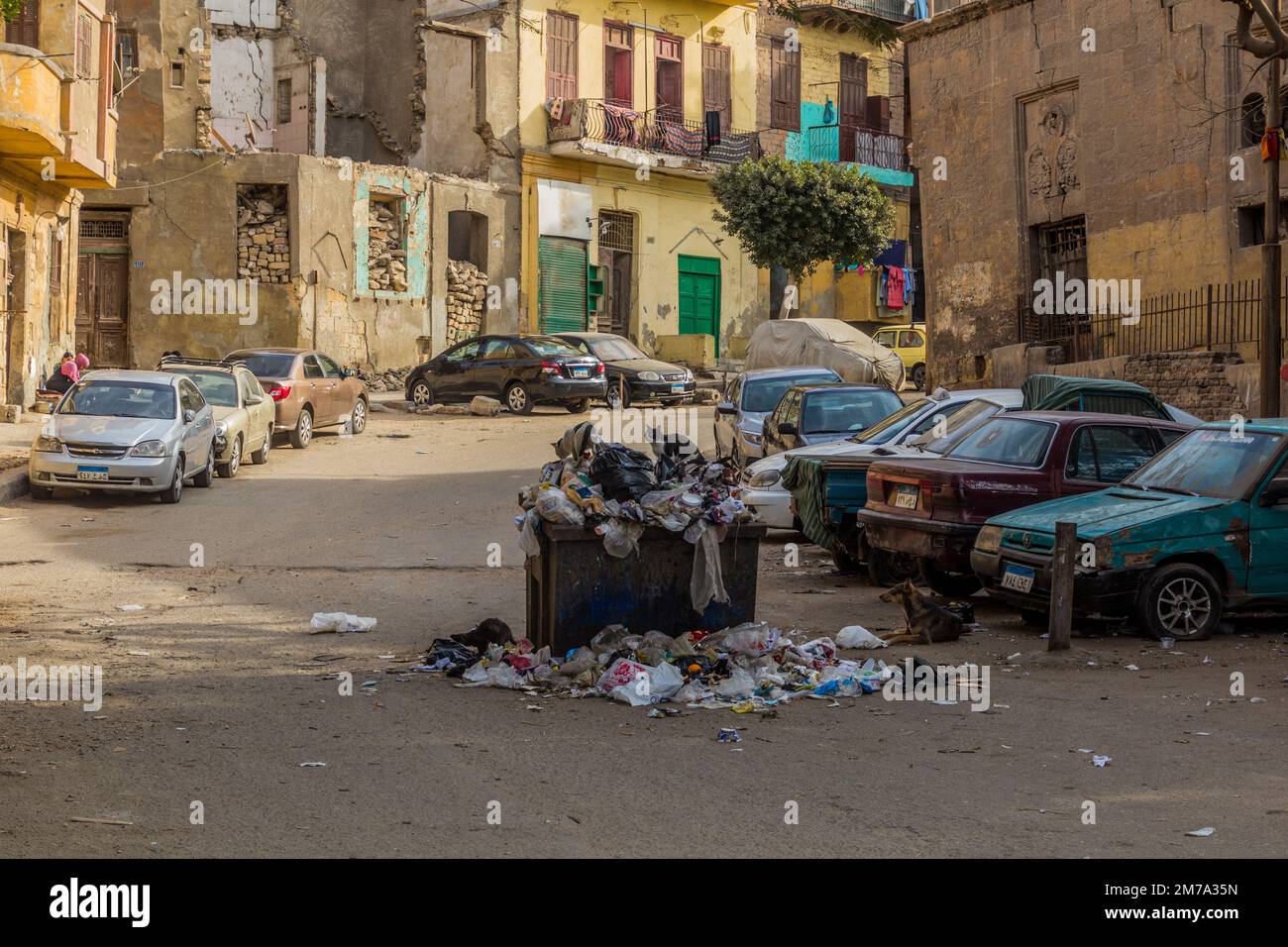 CAIRO, EGYPT - JANUARY 29, 2019: Street with a dumpster and stray ...