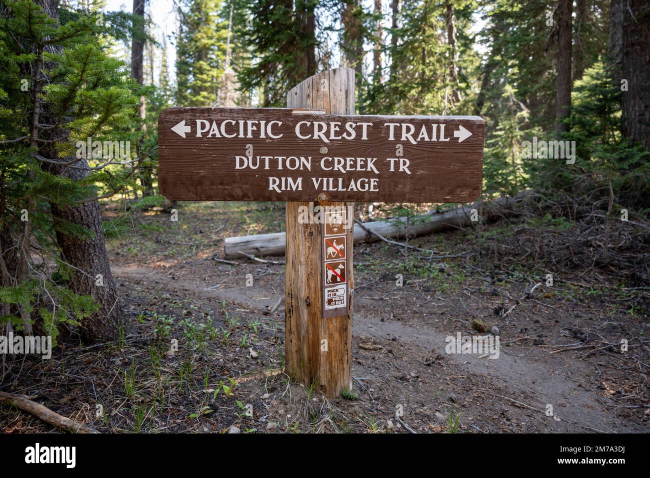 Pacific Crest Trail Sign in Crater Lake National Park points toward Rim ...