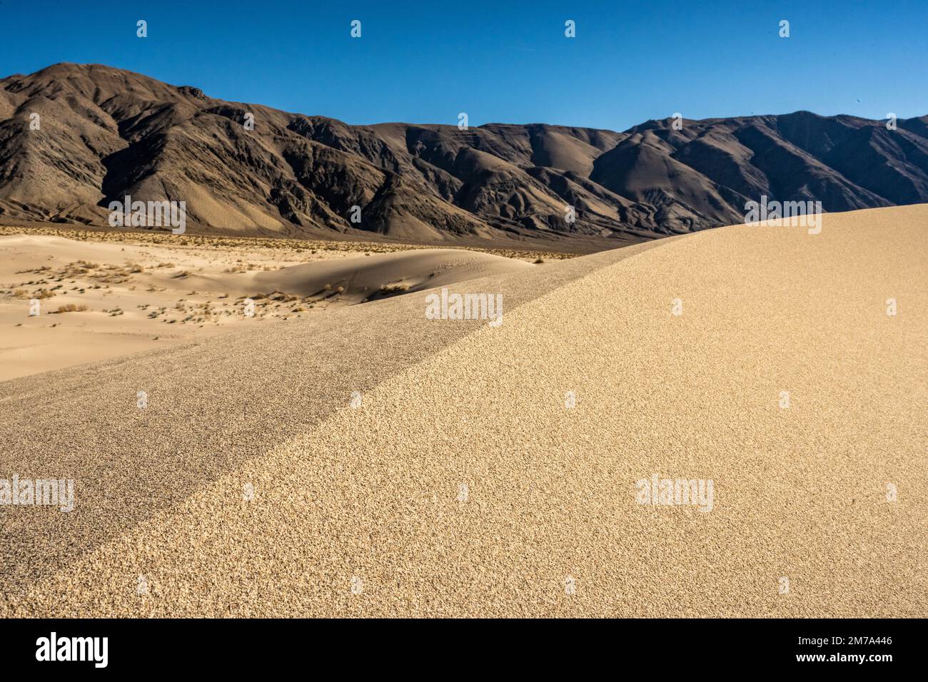 Smooth Crest Of Dunes In The Panamint Valley of Death Valley Stock Photo Alamy