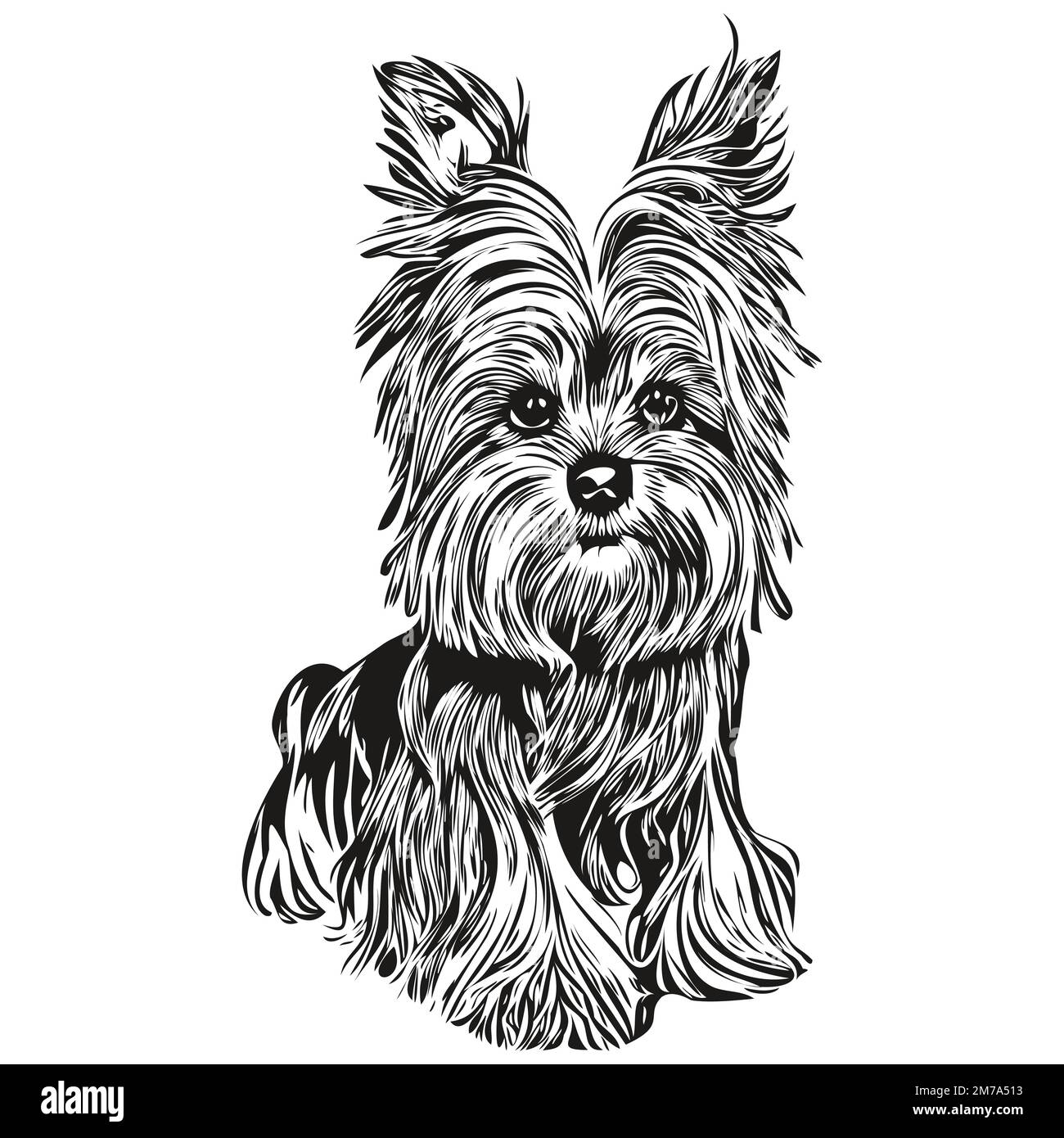 Pets logo vector vectors hi-res stock photography and images - Alamy