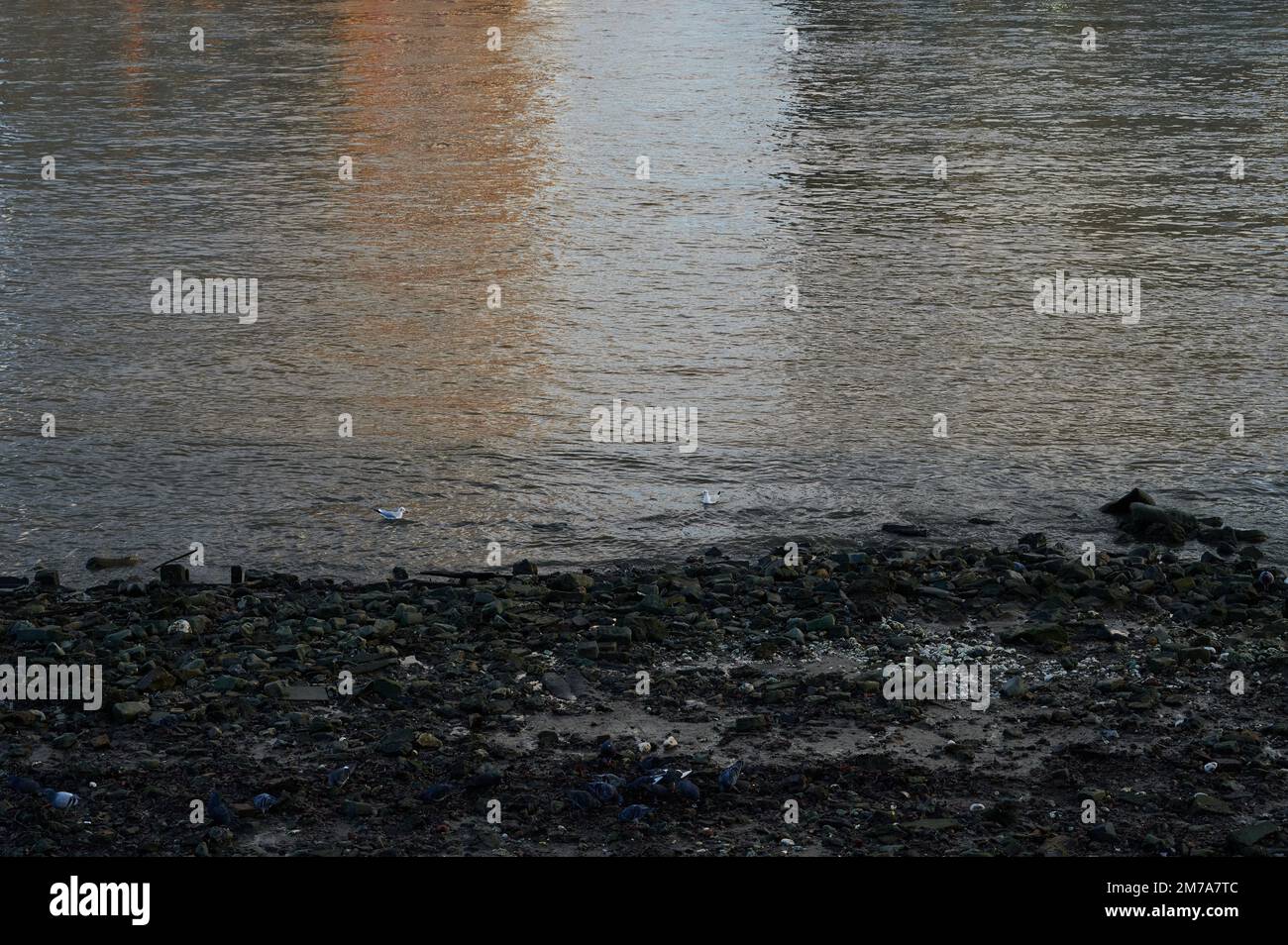Exposed river bank hi-res stock photography and images - Alamy