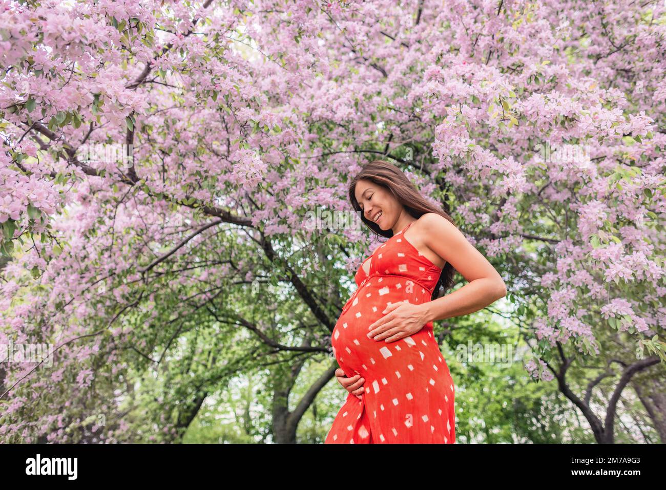 Pregnant woman happy portrait in with spring flowers. New season and new life concept. Pregnancy in 3rd trimester. Asian woman expecting baby feeling Stock Photo