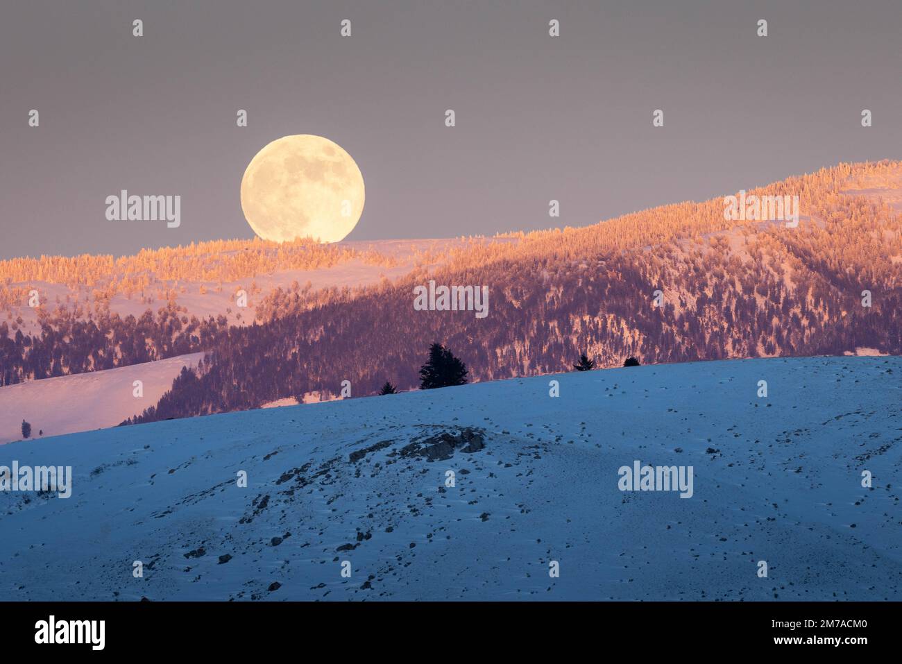 A full moon rising over the snow-covered Gros Ventre Mountains. National Elk Refuge, Wyoming Stock Photo