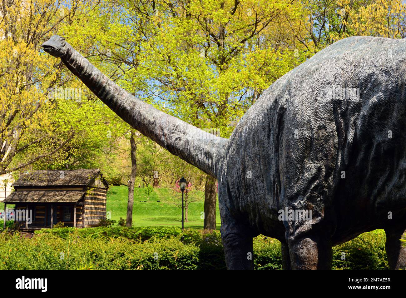 Dippy the Dinosaur stands in a park near the Natural History Museum at the University of Pittsburgh Stock Photo