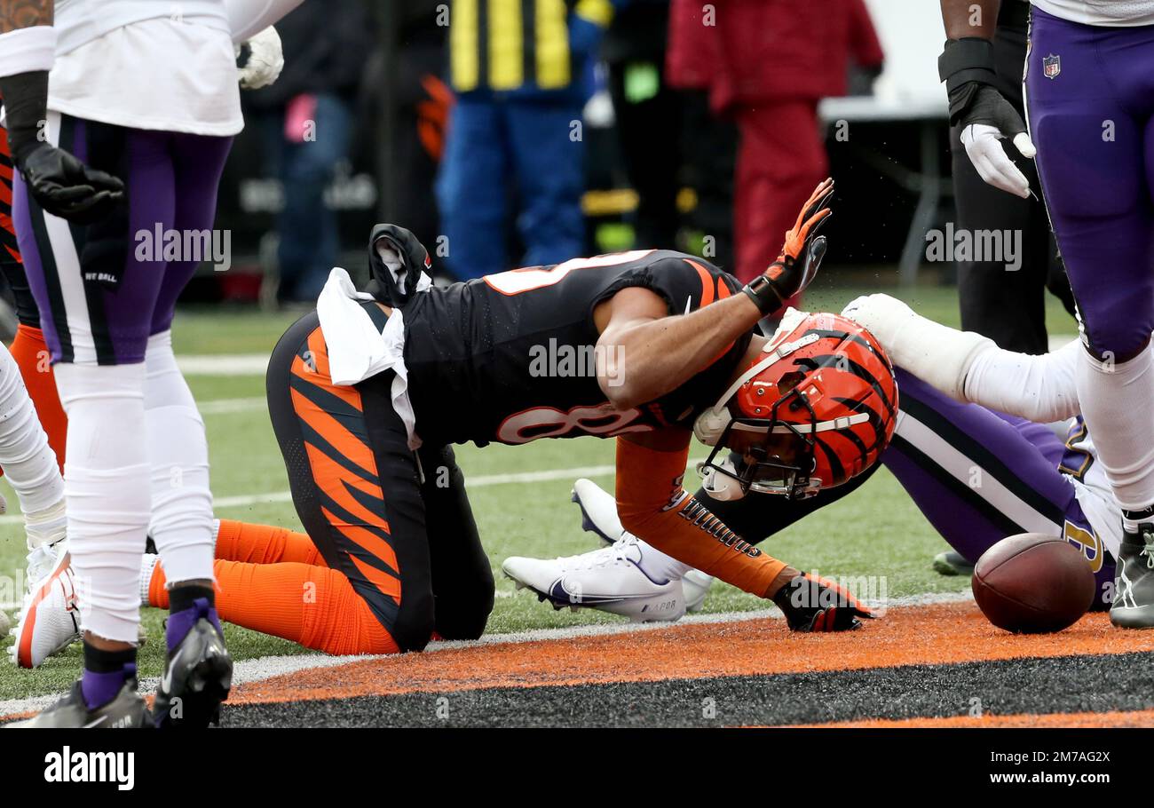 CINCINNATI, OH - JANUARY 08: Cincinnati Bengals tight end Hayden Hurst (88)  dives for a first down in a game between the Baltimore Ravens and the  Cincinnati Bengals on January 8, 2023