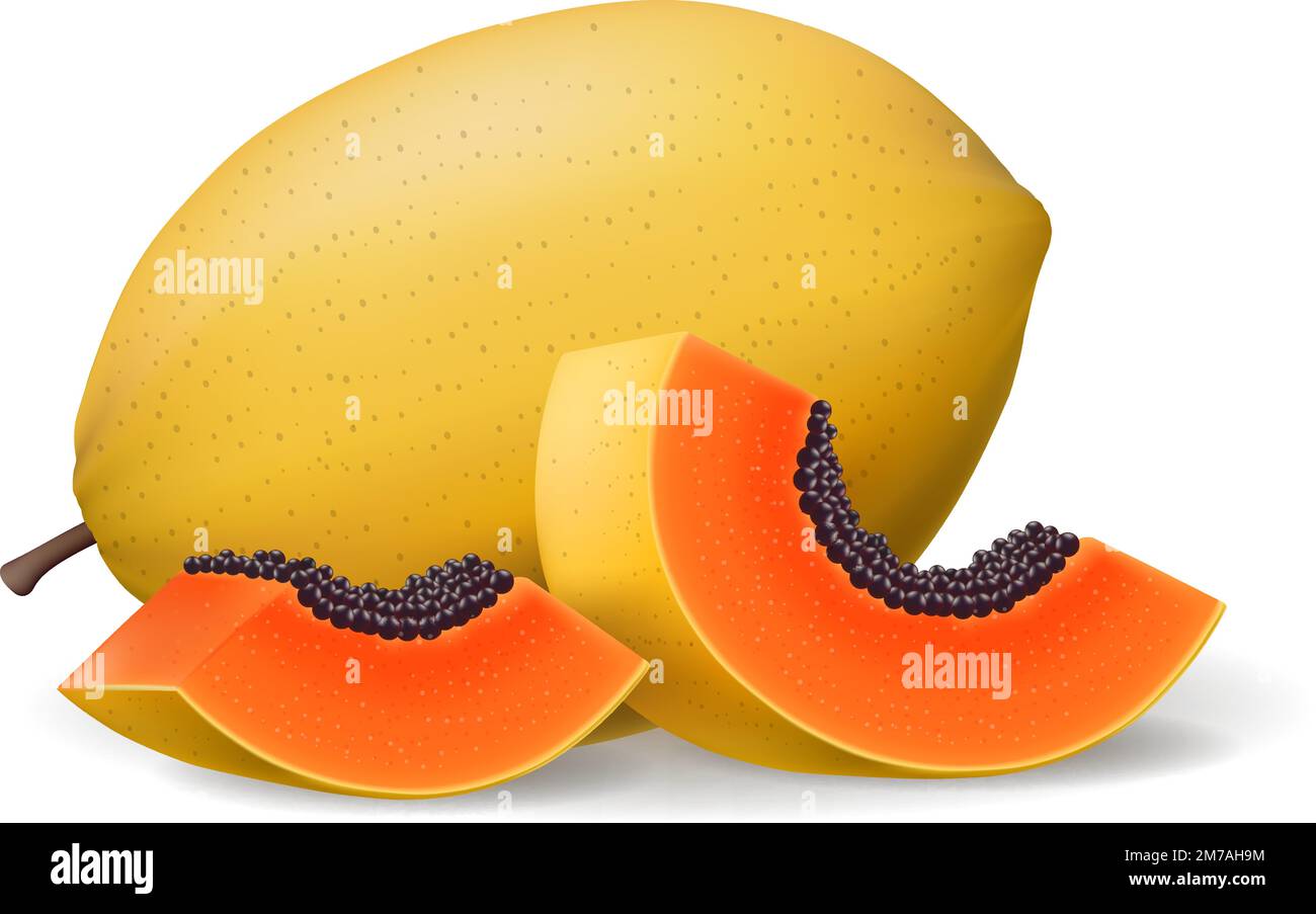 Papaya fruit slices Stock Vector