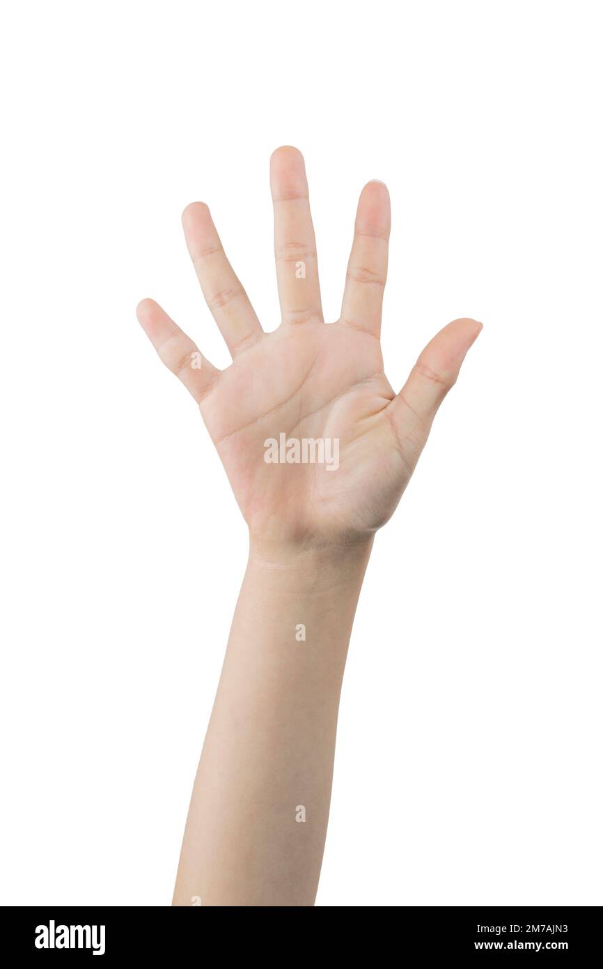Woman showing the number two with hand signs, on white background. hand like graphic resources Stock Photo