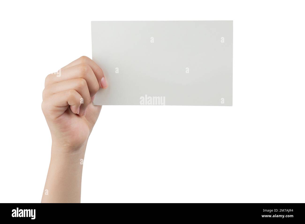 Hand of a young woman holding a white cardboard to mount an image or advertising text, with a white background. Stock Photo