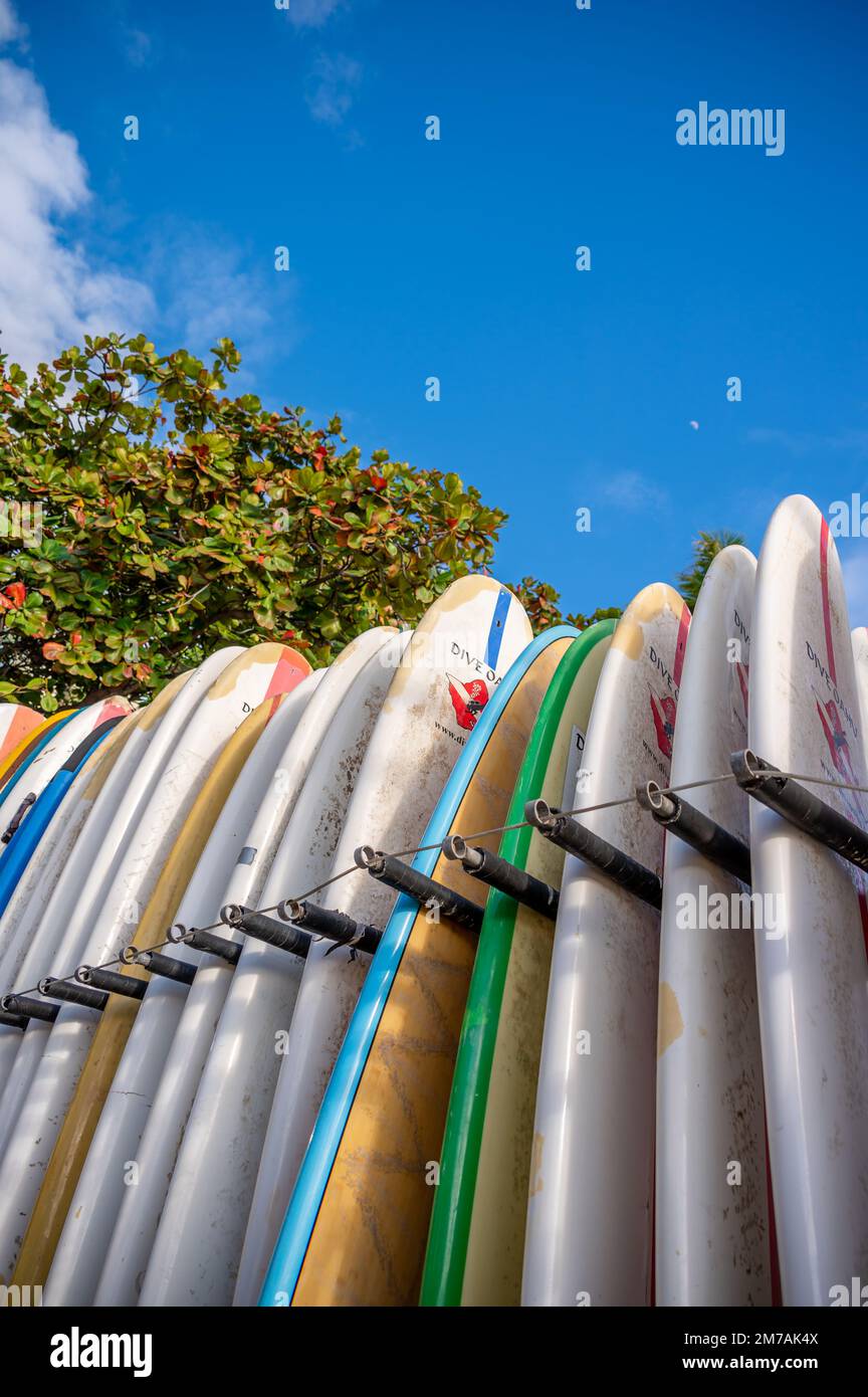 Honolulu, Hawaii December 29, 2022 Dive Oahu surfboards on Waikiki