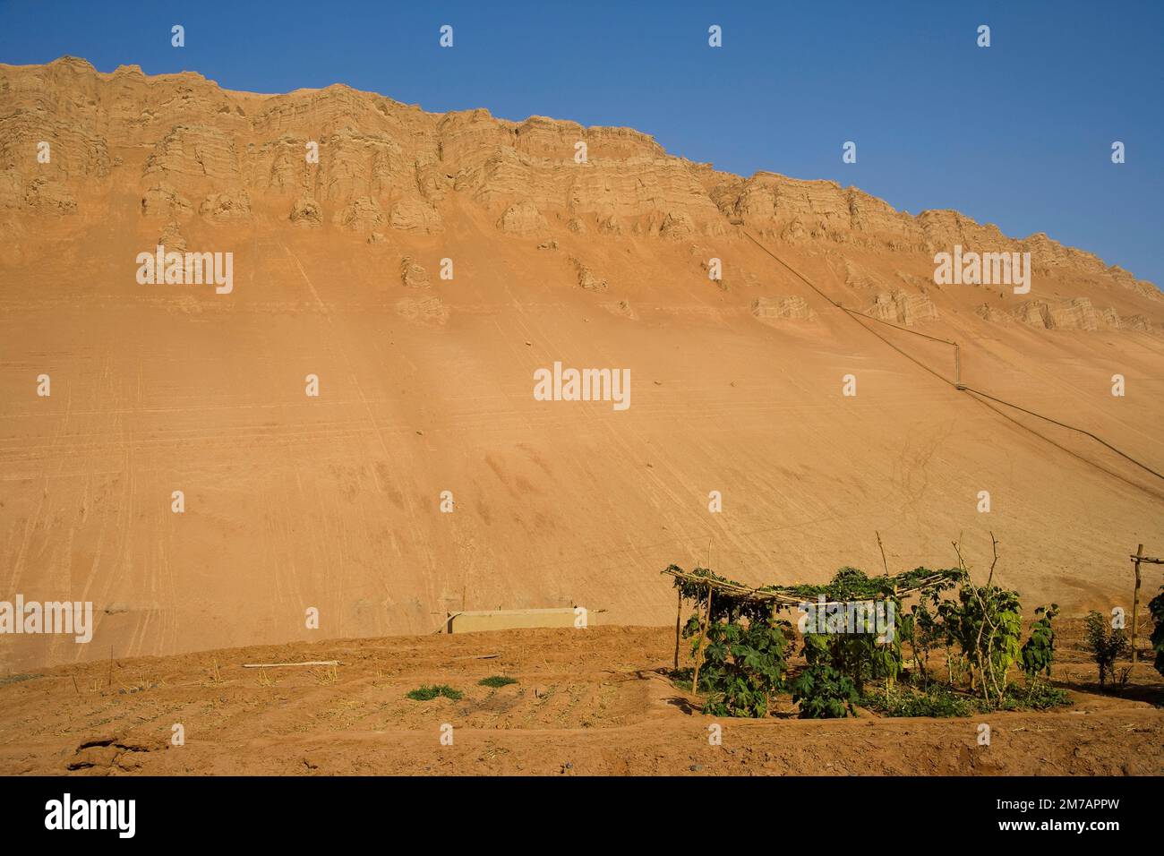 Turpan oasis hi-res stock photography and images - Alamy