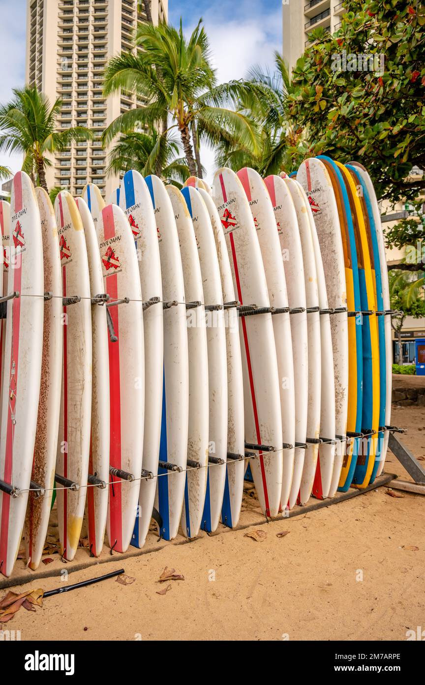 Honolulu, Hawaii January 1, 2023 Surfboards lined up for rent in