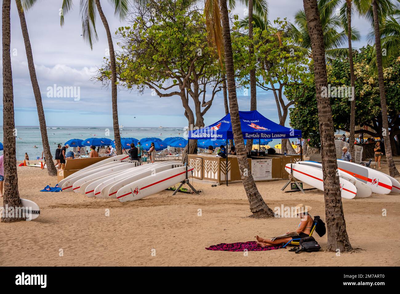 Honolulu, Hawaii January 1, 2023 Surfboards lined up for rent in