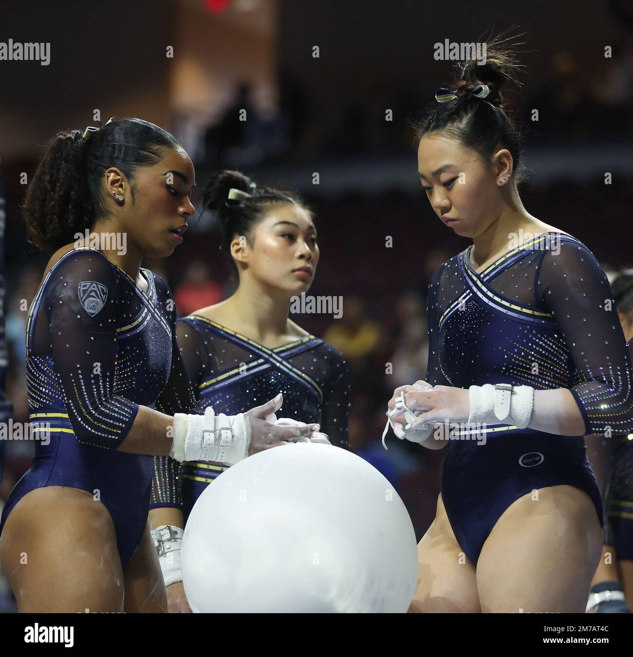 Las Vegas, NV, USA. 7th Jan, 2023. The Cal gymnasts chalk up for their