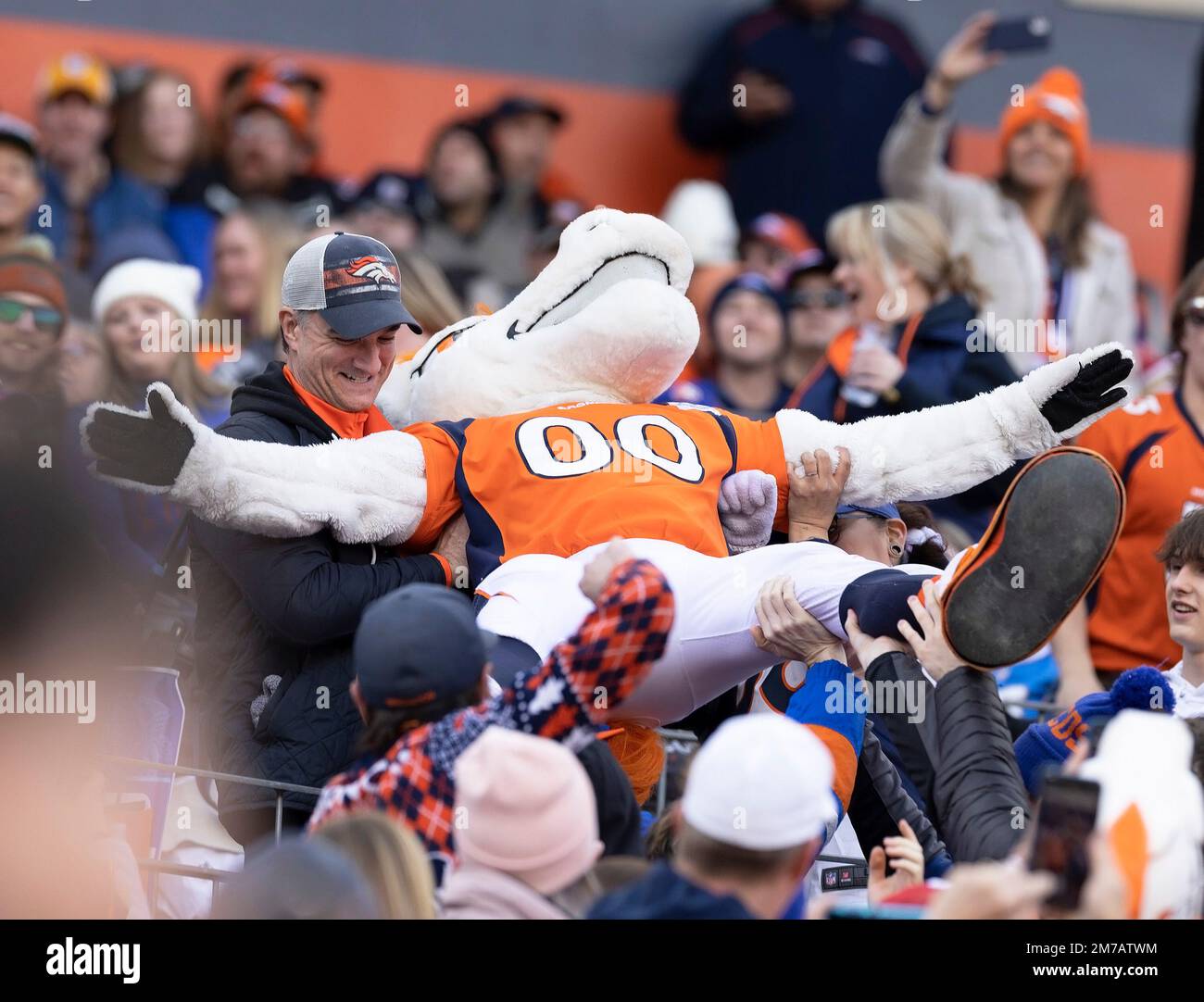 Denver, Colorado, USA. 8th Jan, 2023. Broncos Mascot MILE crowd surfs during the 1st. Half at Empower Field at Mile High Sunday afternoon. The Broncos beat the Chargers 31-28. (Credit Image: © Hector Acevedo/ZUMA Press Wire) Credit: ZUMA Press, Inc./Alamy Live News Stock Photo