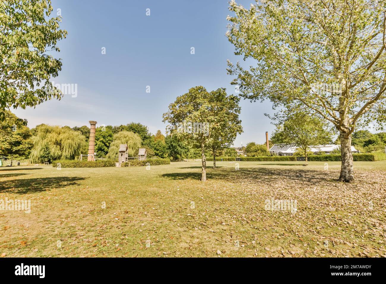 a park with trees, grass and some leaves in the fore - image was taken from an angleer's perspective Stock Photo