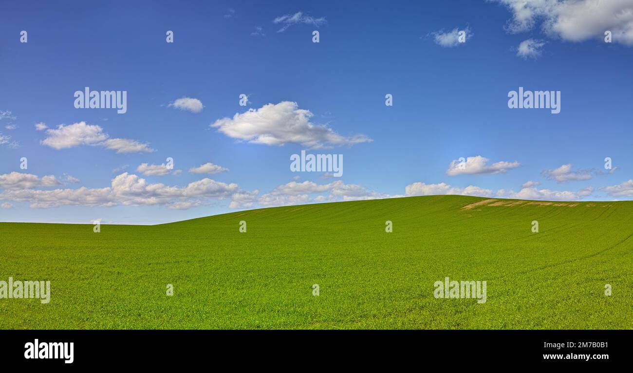 Where the grass is always greener...A field of green grass against a