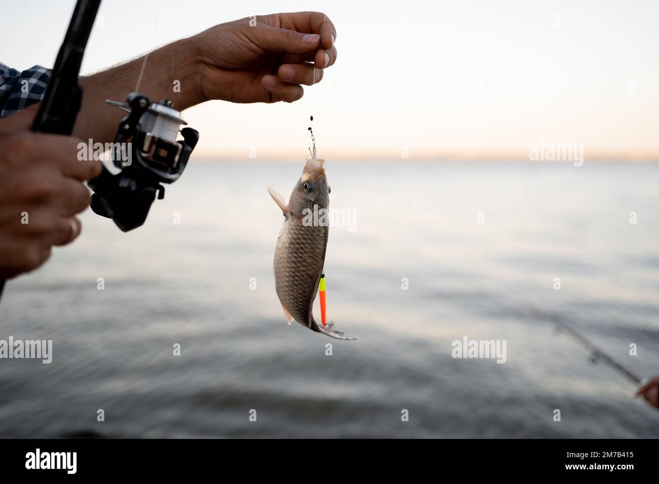 Fishing. Angler with fishing trophy. Fishing backgrounds. Man holding a small fish. Copy space Stock Photo