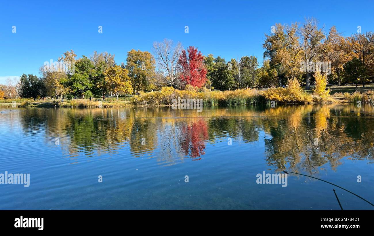 An aerial view of lake surrounded by dense autumn trees Stock Photo - Alamy