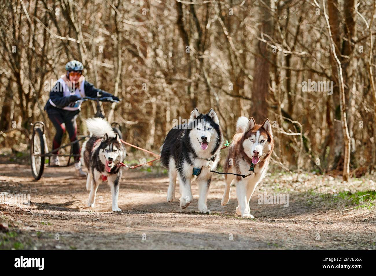 Husky wheeled sled for cheap sale