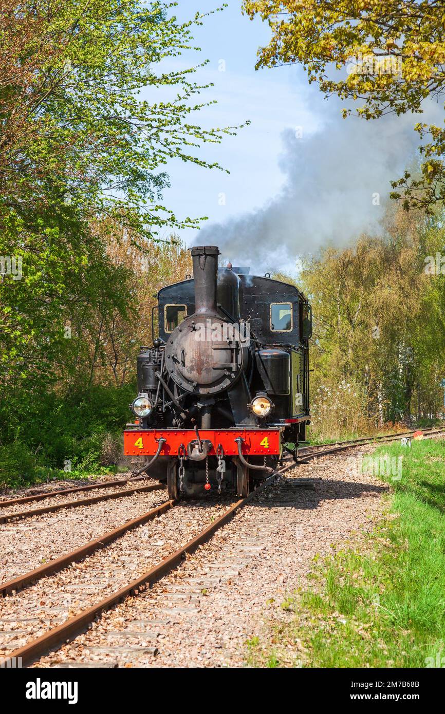 Old steam locomotive on a railway in a lush green woodland Stock Photo