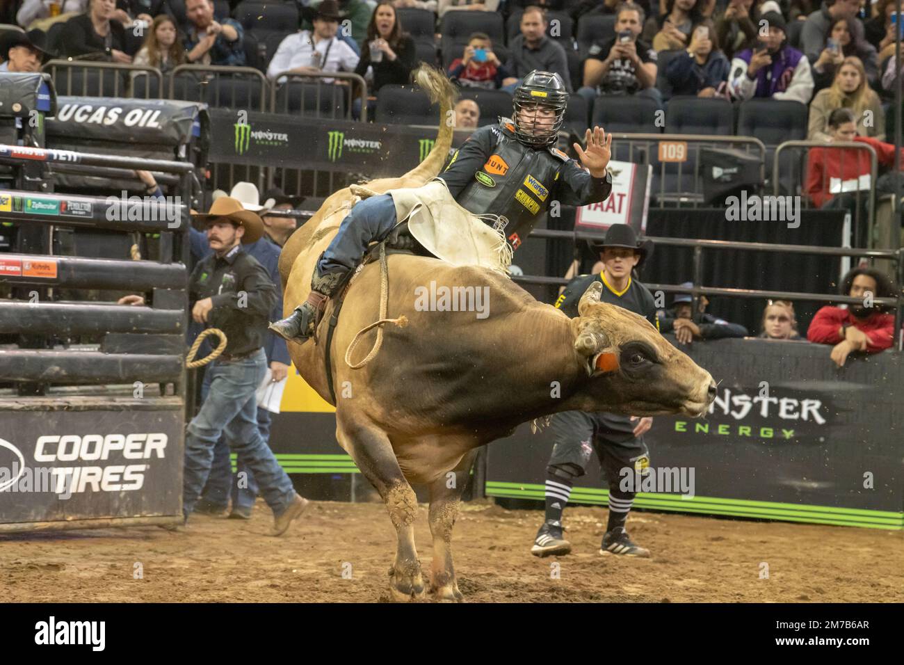 NEW YORK, NEW YORK - JANUARY 08: Eli Vastbinder rides My Buddy Taco ...