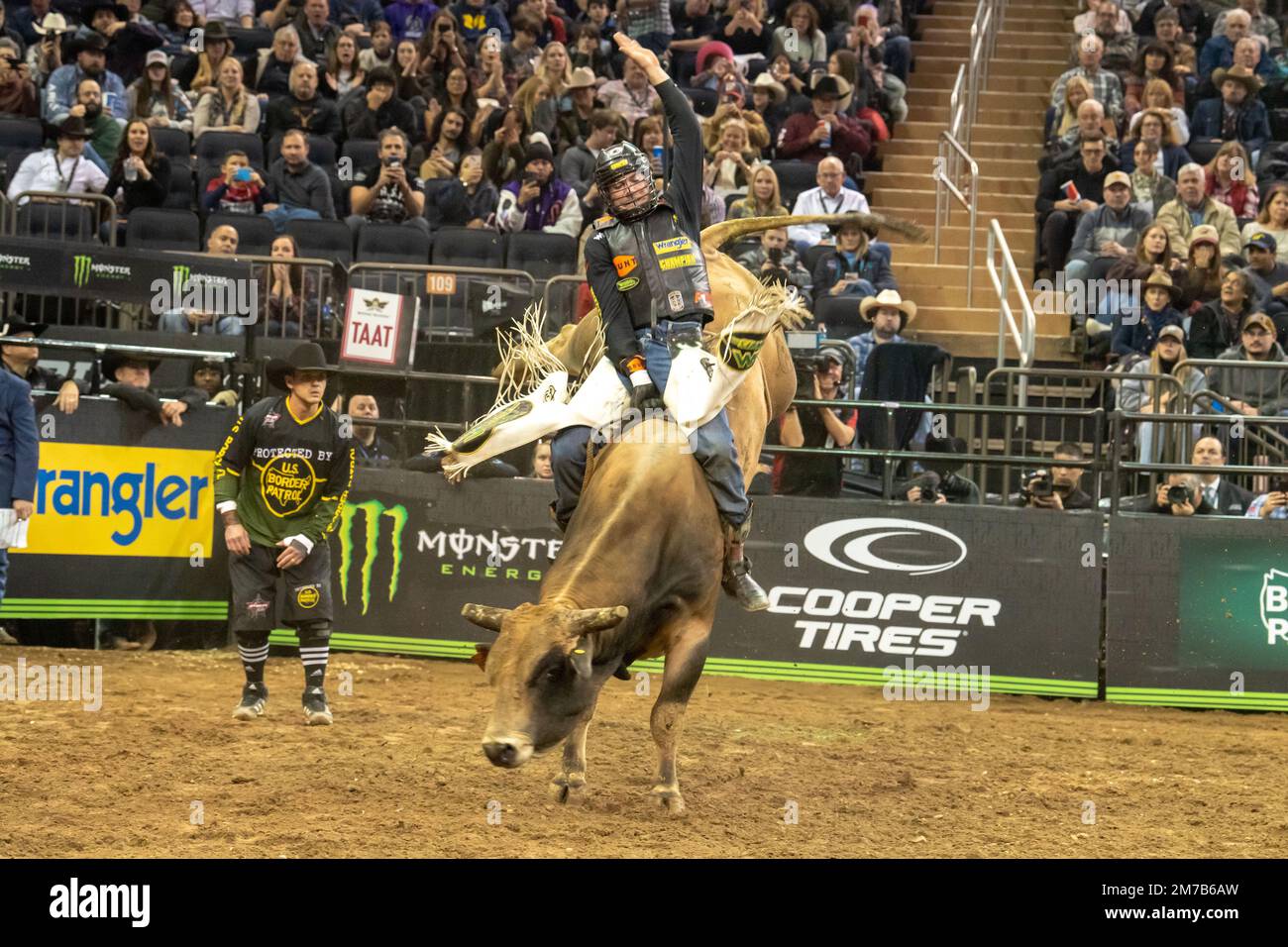 NEW YORK, NEW YORK - JANUARY 08: Eli Vastbinder rides My Buddy Taco ...
