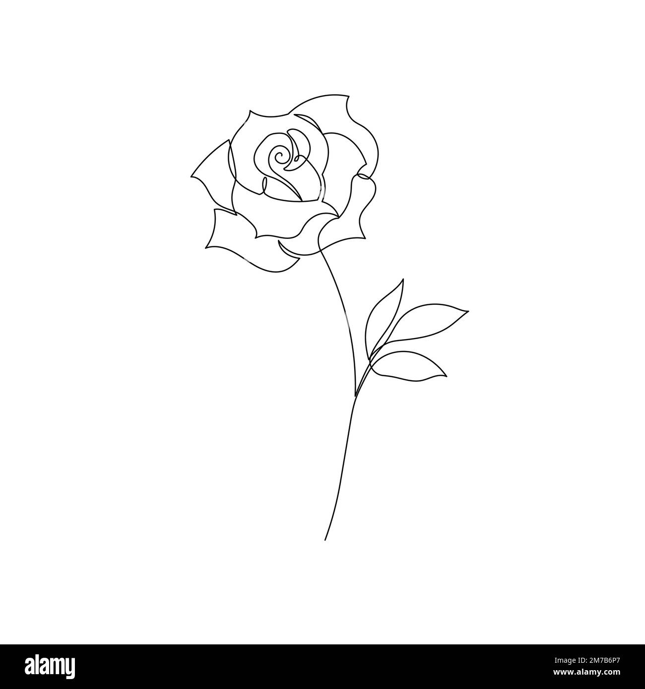Outline rose flower logo. One continuous line art decorative rose draw.  Editable stroke flower floral element. Isolated vector illustration Stock  Vector Image & Art - Alamy