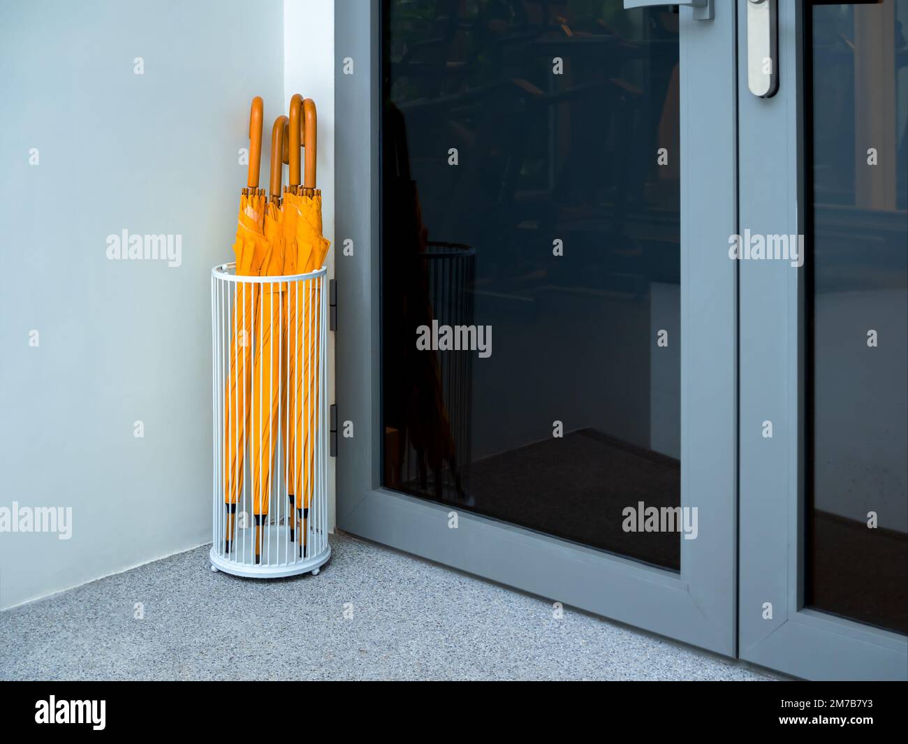 Many yellow umbrellas with wooden handle stored in white vintage steel umbrella storage in front of the glass door of the building. Stock Photo