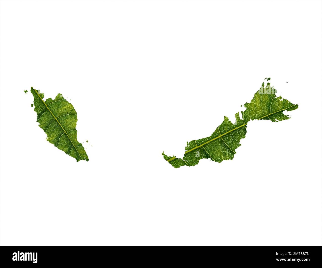 The Malaysia map made of green leaves on a white background - ecology concept Stock Photo