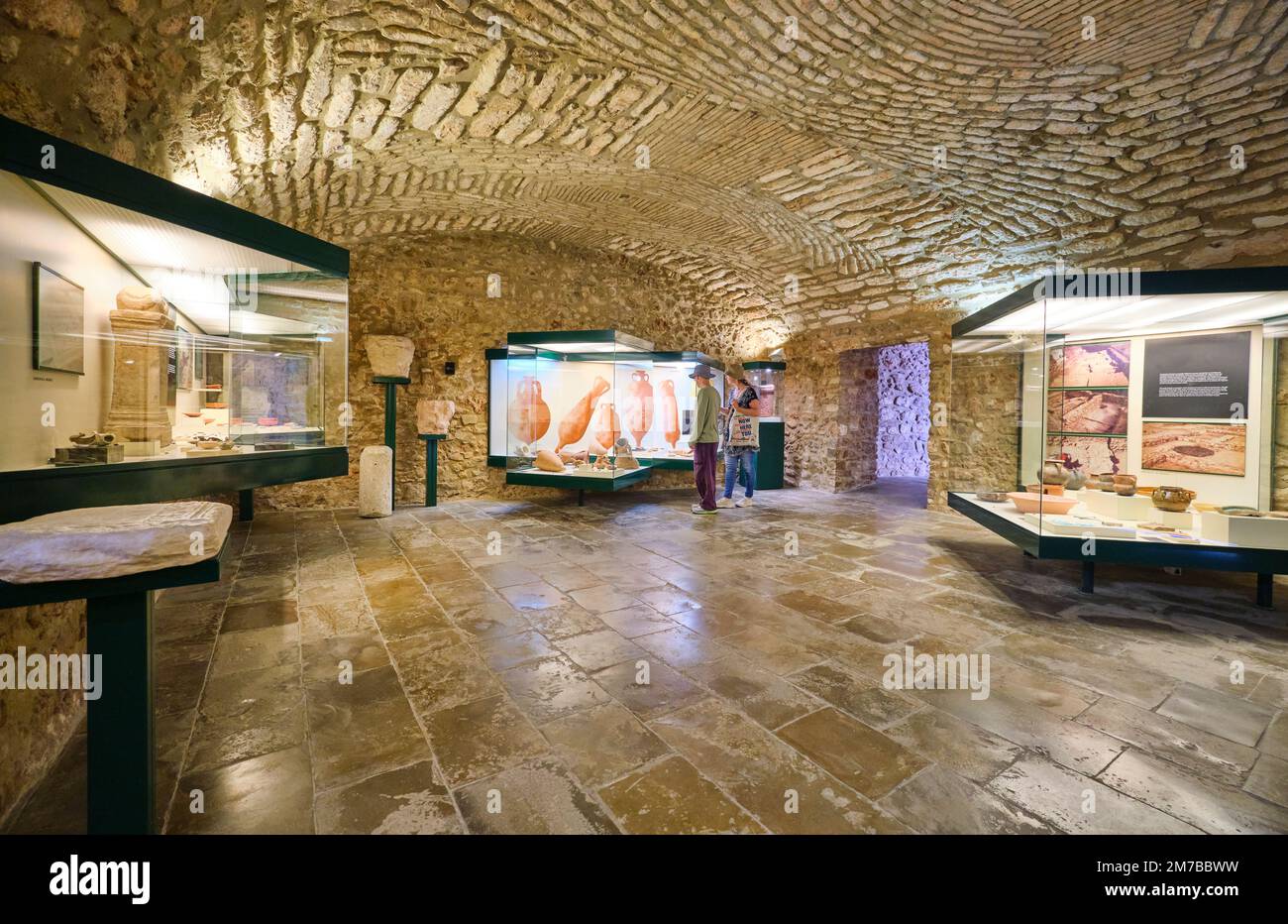 A view of one of the museum galleries, rooms, with cases displaying
