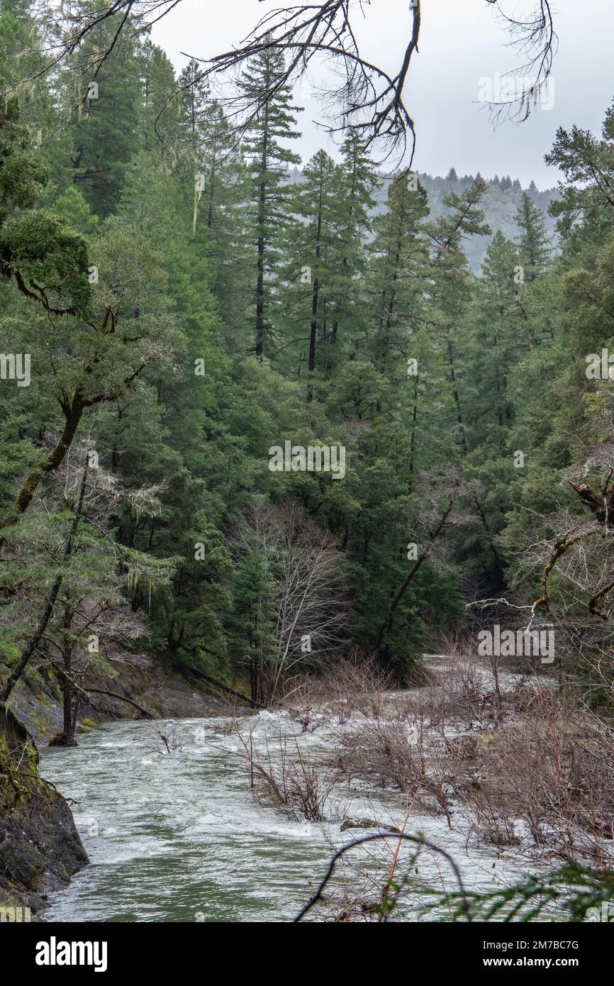 The South Fork of the Eel River in Mendocino county flows through forest and hills in the