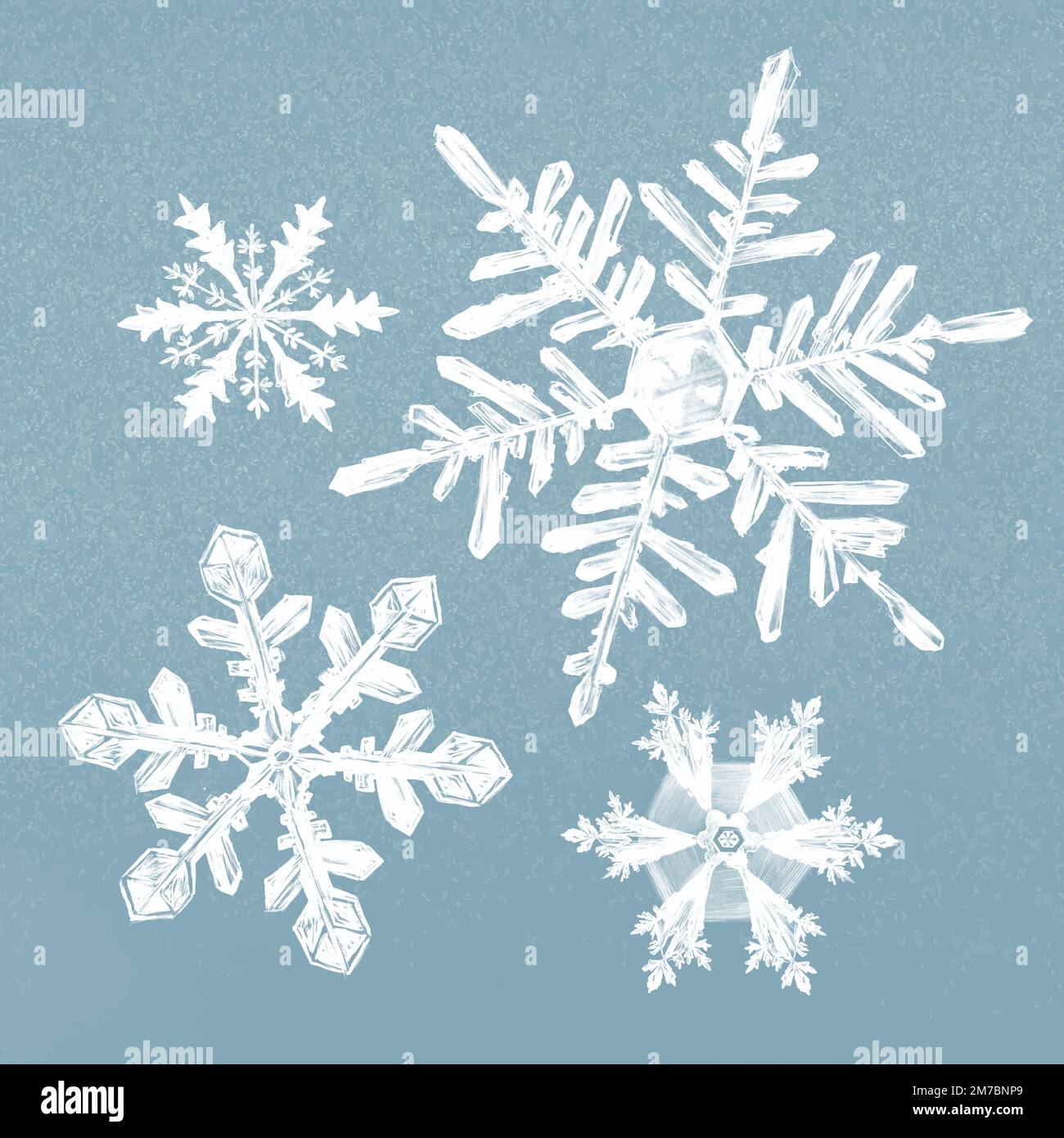 Winter snowflake illustration vector on blue background set Stock Vector