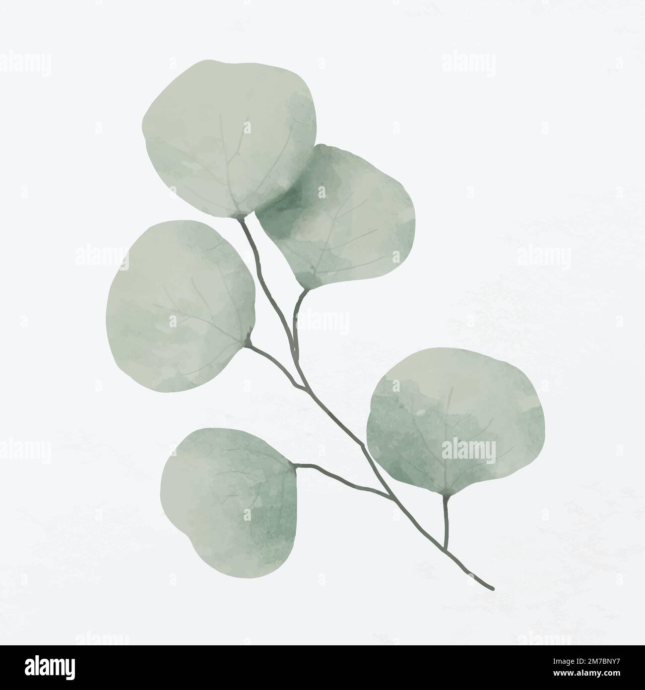 Green leaves branch illustration vector Stock Vector