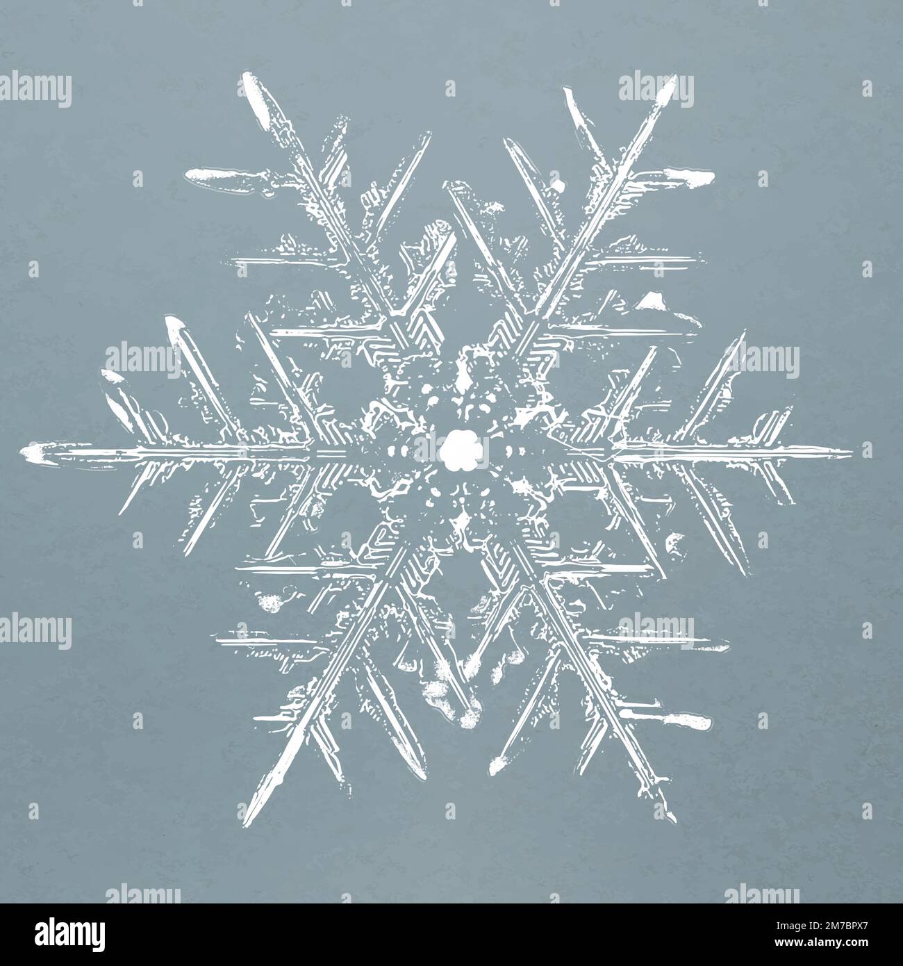 Realistic snowflakes element vector in blue background Stock Vector