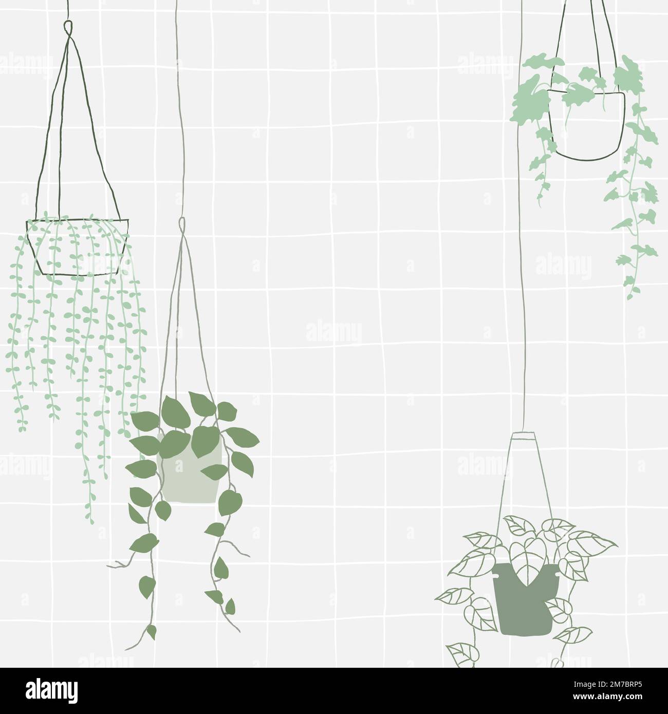 Green hanging plant vector frame Stock Vector Image & Art Alamy