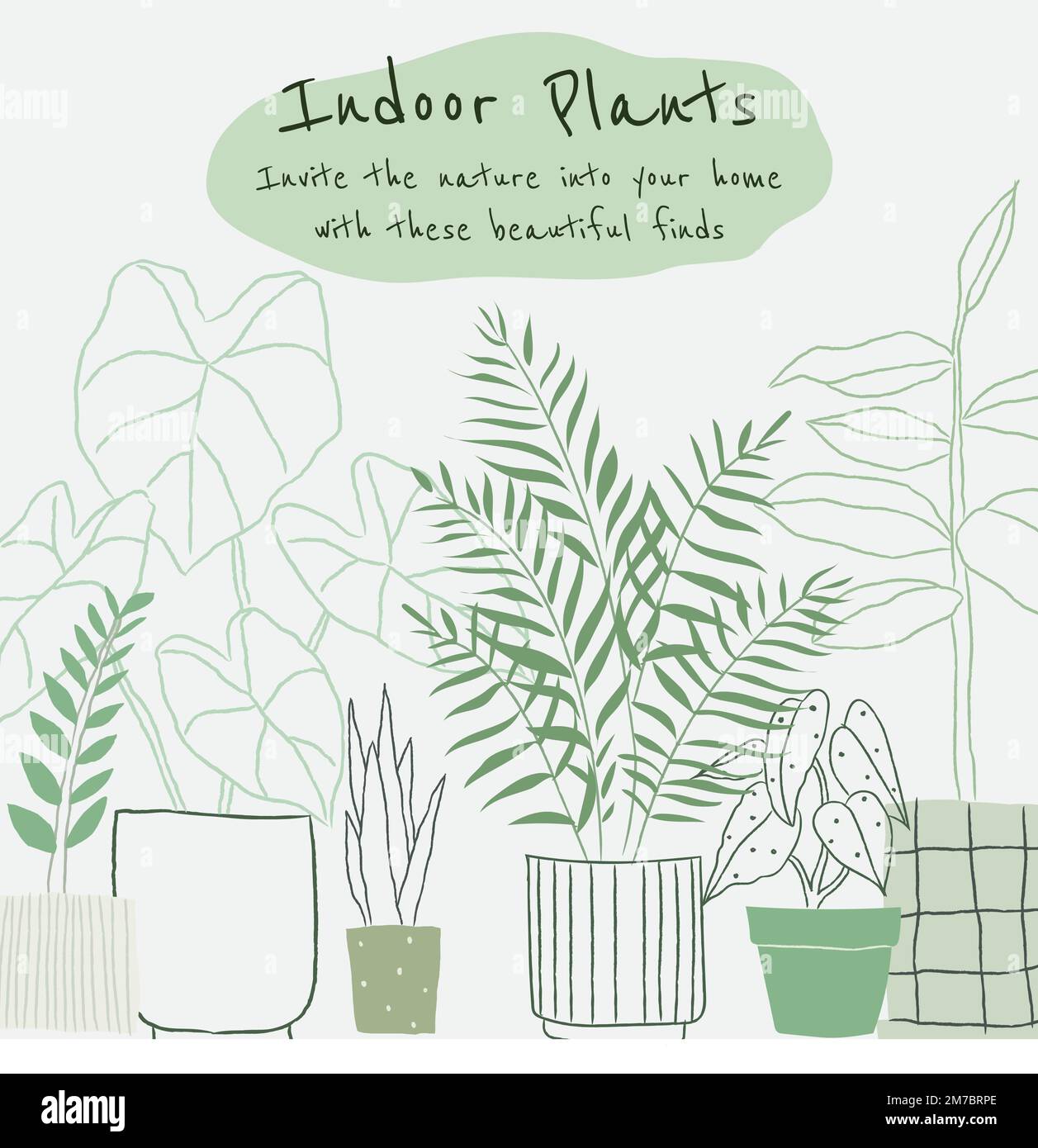 Potted plants in doodle hi res stock photography and images Alamy Potted plants in doodle hi res stock photography and images Alamy