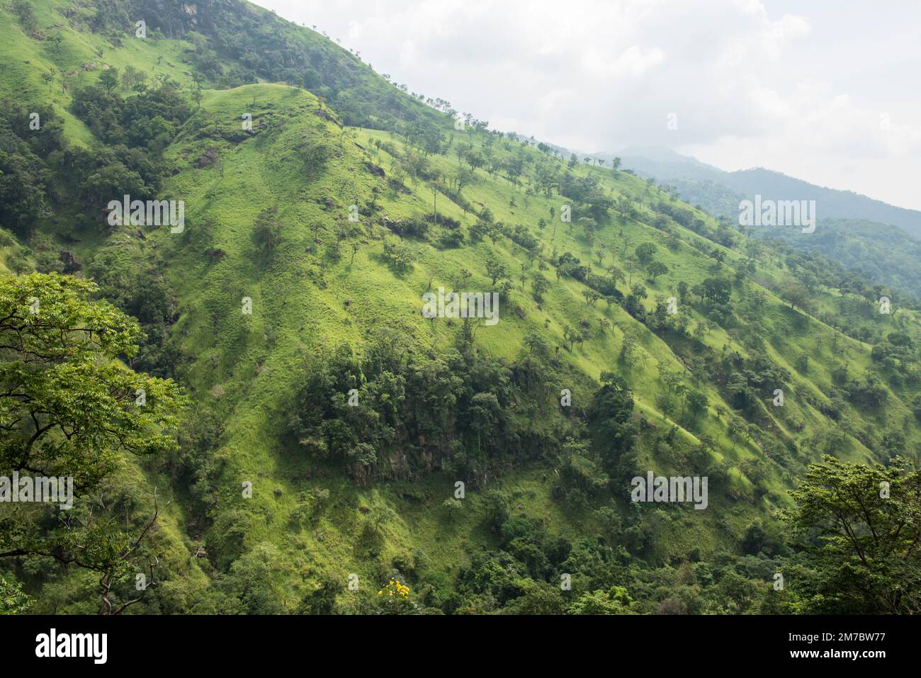 Hill country and tea growing area, Sri Lanka Stock Photo