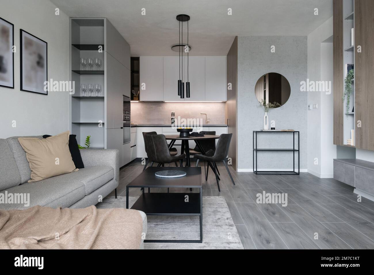 Interior of modern apartment living room connected to kitchen Stock