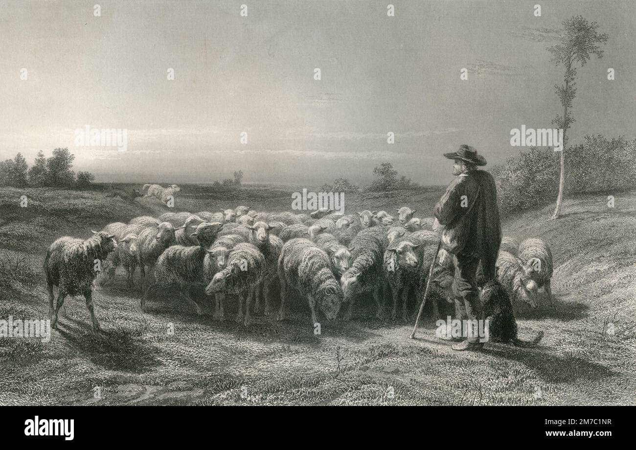 The Shepherd, print engraved by Rosa Bonheur from the painting by C. Cousen, UK 1888 Stock Photo
