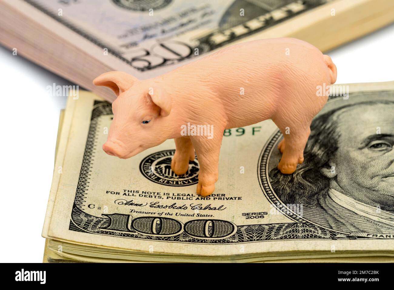 pig figure standing on dollar notes Stock Photo