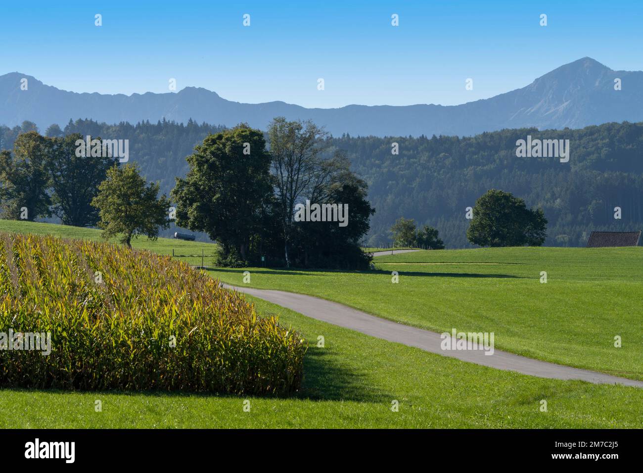 field and meadow landscape, Heimgarten and Herzogstand in background, Germany, Bavaria, Region Habach bei Murnau Stock Photo