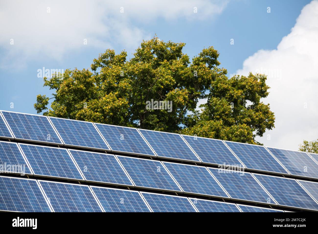 solar panels with tree, Austria Stock Photo