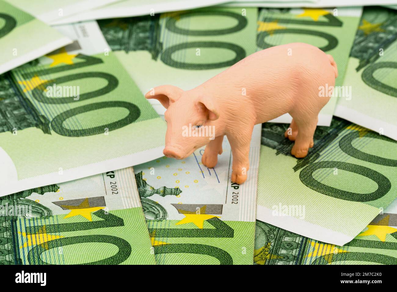 pig on 100 euro bills Stock Photo