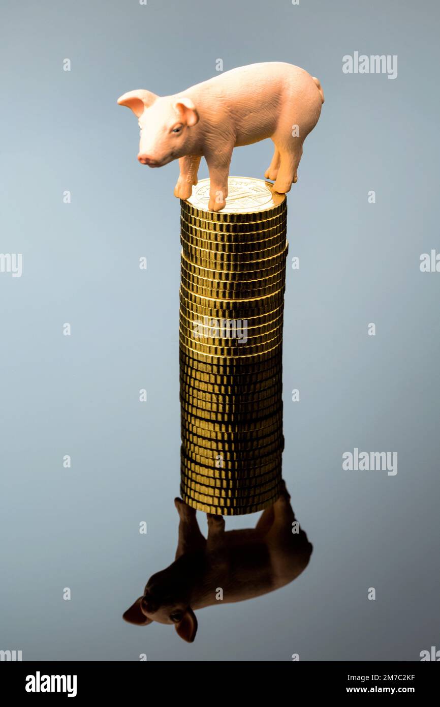 piggy bank standing on a stack of fifty cent coins, side view Stock